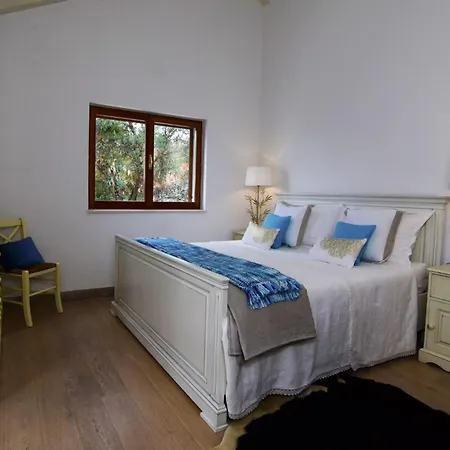 Villa Spectacular Beachfront Brac 6 Bedrooms Selca Violet Magnificent Views Of The Adriatic Sea Heated Pool Selca Selca (Brac)