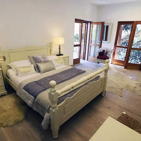 Spectacular Beachfront Brac 6 Bedrooms Violet *