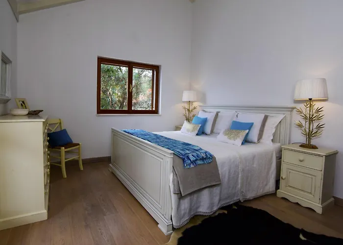Spectacular Beachfront Brac 6 Bedrooms Violet Villa